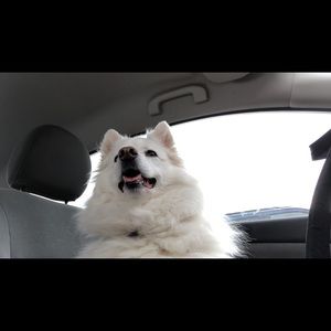 Meet your Posher, Morgan